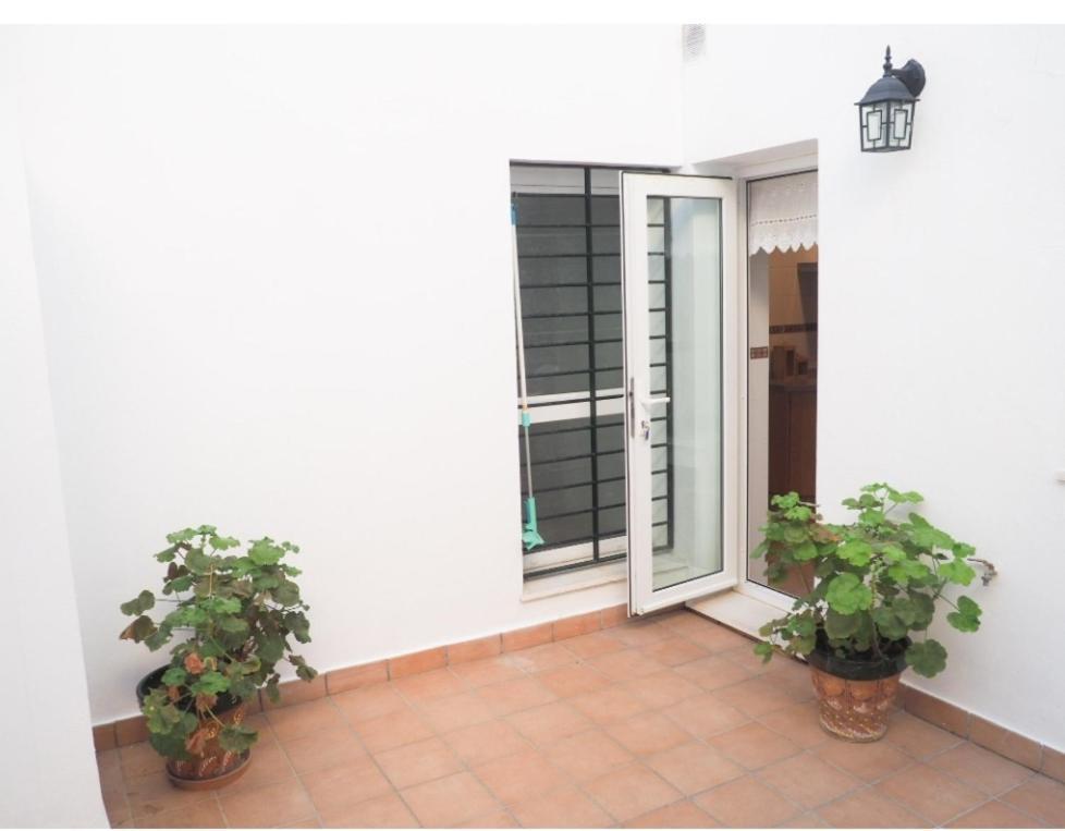 Apartment Conilplus Castilnovo Conil De La Frontera